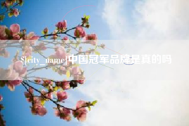 龙海中国冠军品牌是真的吗