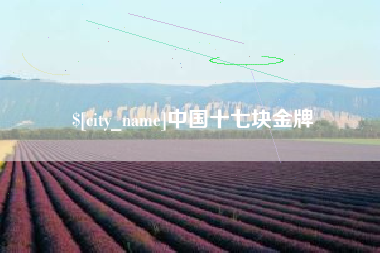 龙海中国十七块金牌