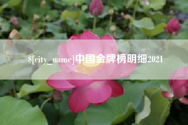 龙海中国金牌榜明细2021