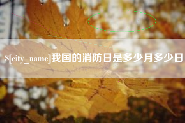 龙海我国的消防日是多少月多少日