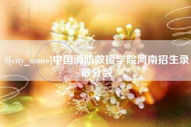 龙海中国消防救援学院河南招生录取分数