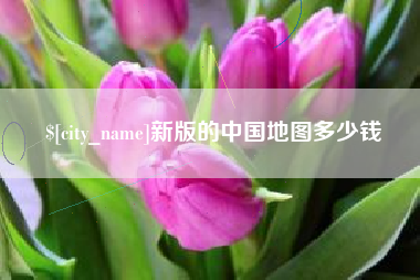 龙海新版的中国地图多少钱