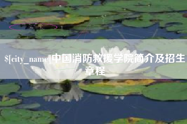 龙海中国消防救援学院简介及招生章程