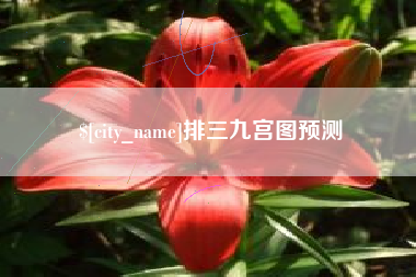 龙海排三九宫图预测