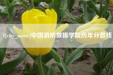 龙海中国消防救援学院历年分数线