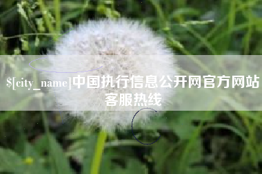 龙海中国执行信息公开网官方网站客服热线