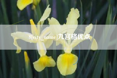 龙海九宫格优点