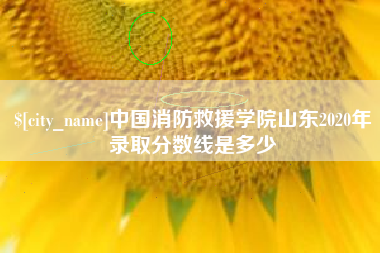 龙海中国消防救援学院山东2020年录取分数线是多少