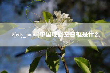 龙海中国地图空白框是什么
