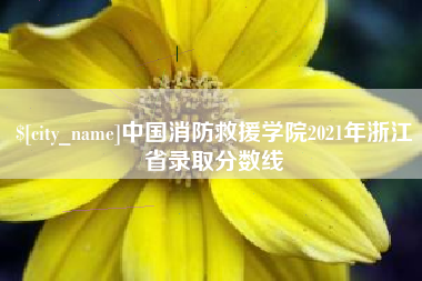 龙海中国消防救援学院2021年浙江省录取分数线
