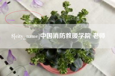 龙海中国消防救援学院 老师