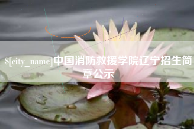 龙海中国消防救援学院辽宁招生简章公示