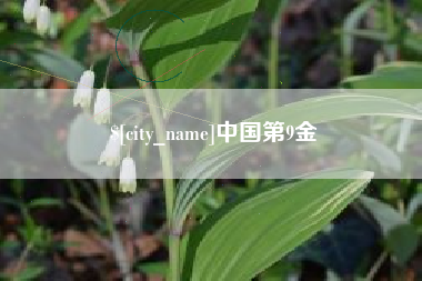 龙海中国第9金