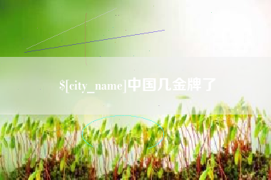龙海中国几金牌了