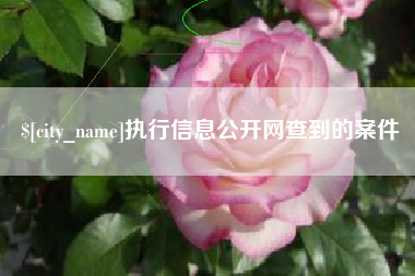 龙海执行信息公开网查到的案件