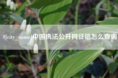 龙海中国执法公开网征信怎么查询