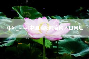 龙海中国消防网官网入口网址