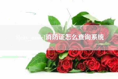 龙海消防证怎么查询系统