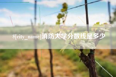 龙海消防大学分数线是多少