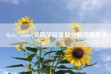 龙海消防学校录取分数线是多少