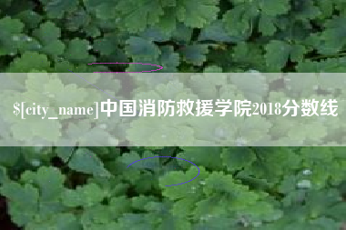 龙海中国消防救援学院2018分数线