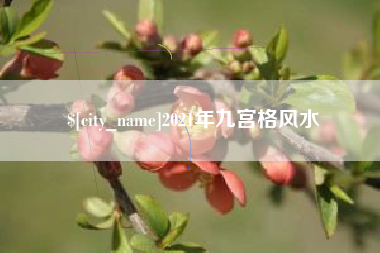 龙海2021年九宫格风水