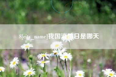龙海我国消防日是哪天