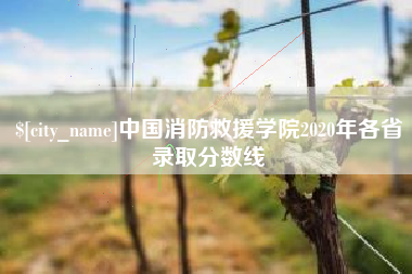 龙海中国消防救援学院2020年各省录取分数线
