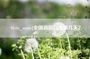 龙海全国消防日是第几天？