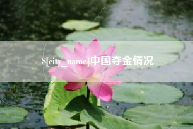 龙海中国夺金情况