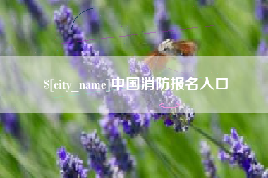 龙海中国消防报名入口