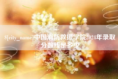 龙海中国消防救援学院2024年录取分数线是多少
