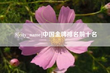 龙海中国金牌排名前十名