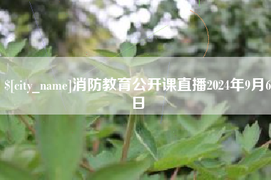 龙海消防教育公开课直播2024年9月6日