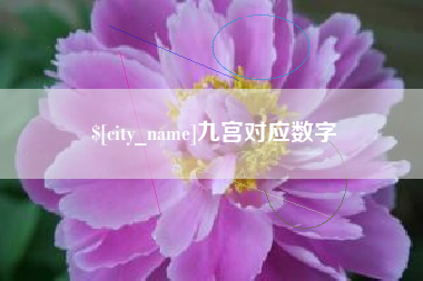 龙海九宫对应数字