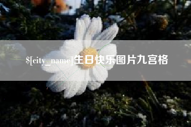 龙海生日快乐图片九宫格