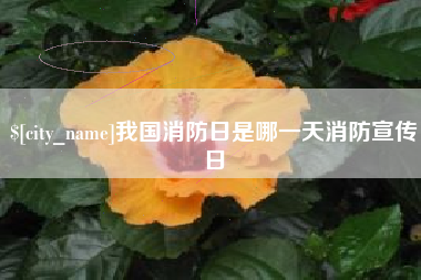 龙海我国消防日是哪一天消防宣传日