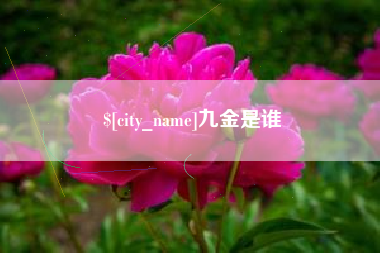 龙海九金是谁