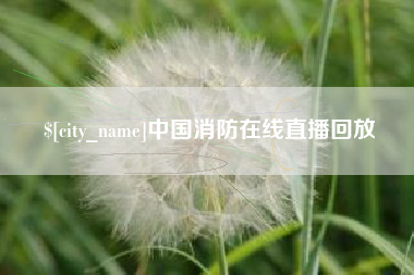 龙海中国消防在线直播回放