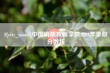 龙海中国消防救援学院2019年录取分数线