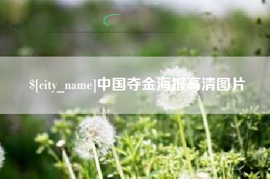 龙海中国夺金海报高清图片