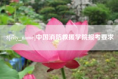 龙海中国消防救援学院报考要求