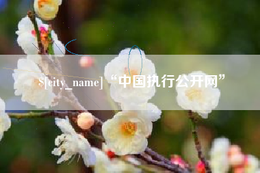 龙海“中国执行公开网”