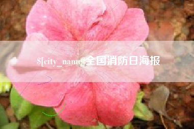 龙海全国消防日海报