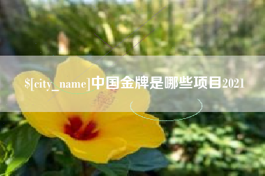 龙海中国金牌是哪些项目2021