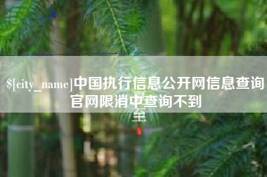 龙海中国执行信息公开网信息查询官网限消中查询不到