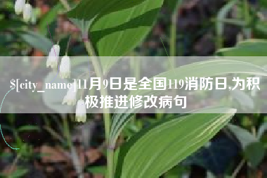 龙海11月9日是全国119消防日,为积极推进修改病句