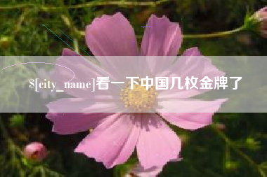 龙海看一下中国几枚金牌了