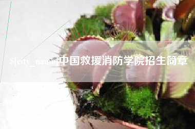 龙海中国救援消防学院招生简章