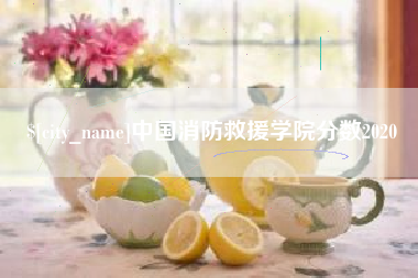 龙海中国消防救援学院分数2020